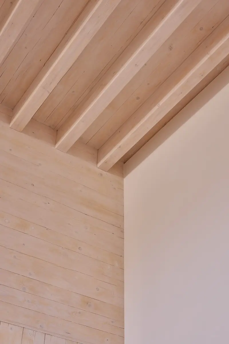 Custom ribbed wood ceiling detail, La Jungla