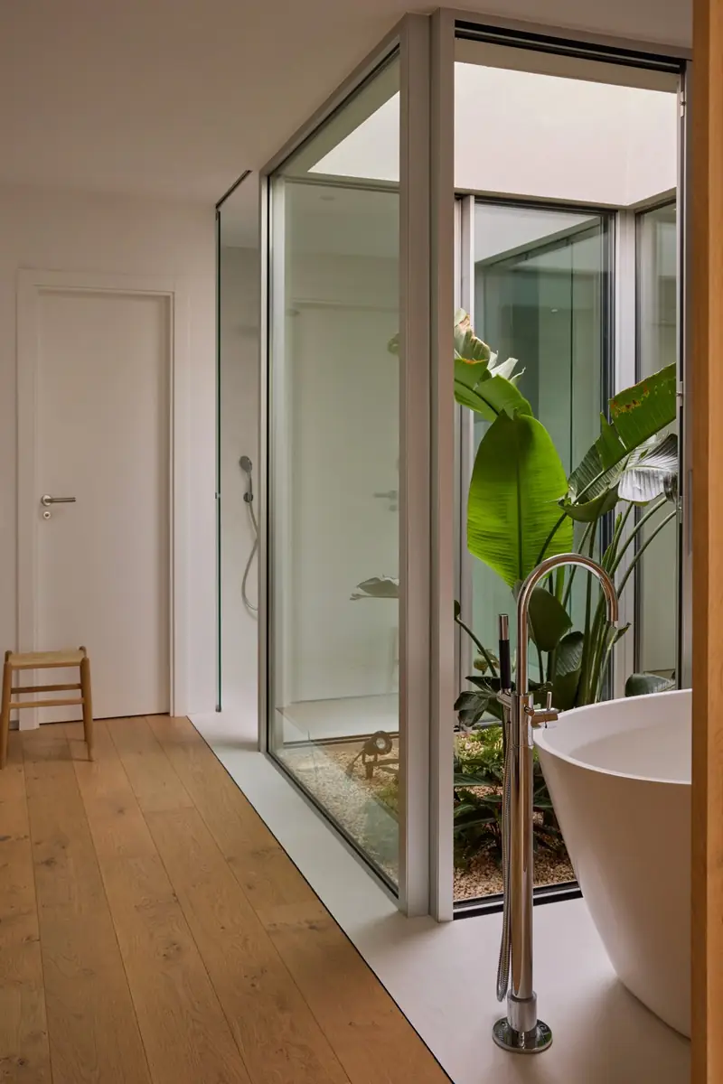 Glass interior courtyard with plants, La Jungla